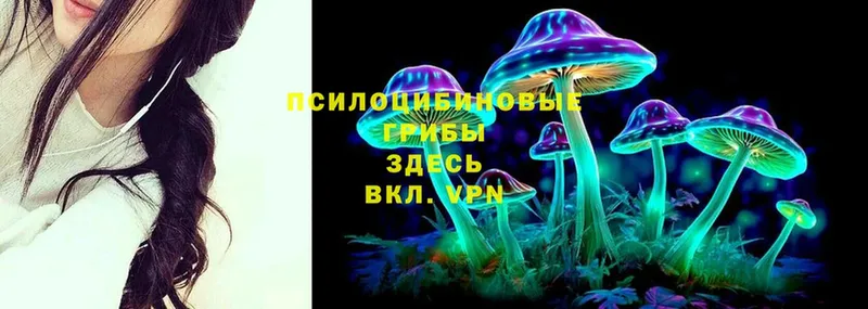 Псилоцибиновые грибы MAGIC MUSHROOMS  Камышлов 